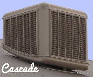 brown Cascade cool breeze evaporative cooler