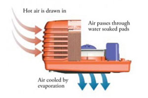 diagram to show how evaporative airconditioners work drawing outside air in through a water soaked pad and into the home